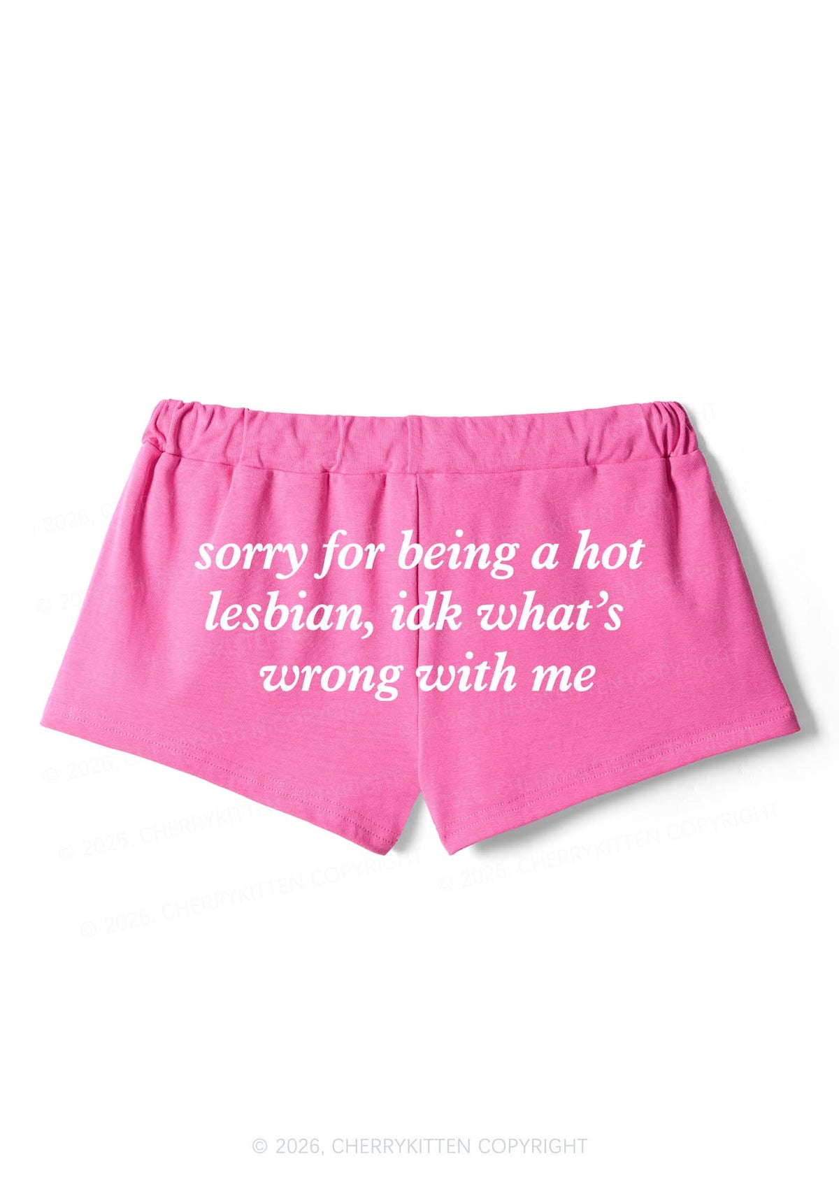 Sorry For Being Hot Lesbian Pride Y2K Drawstring Mini Shorts Cherrykitten